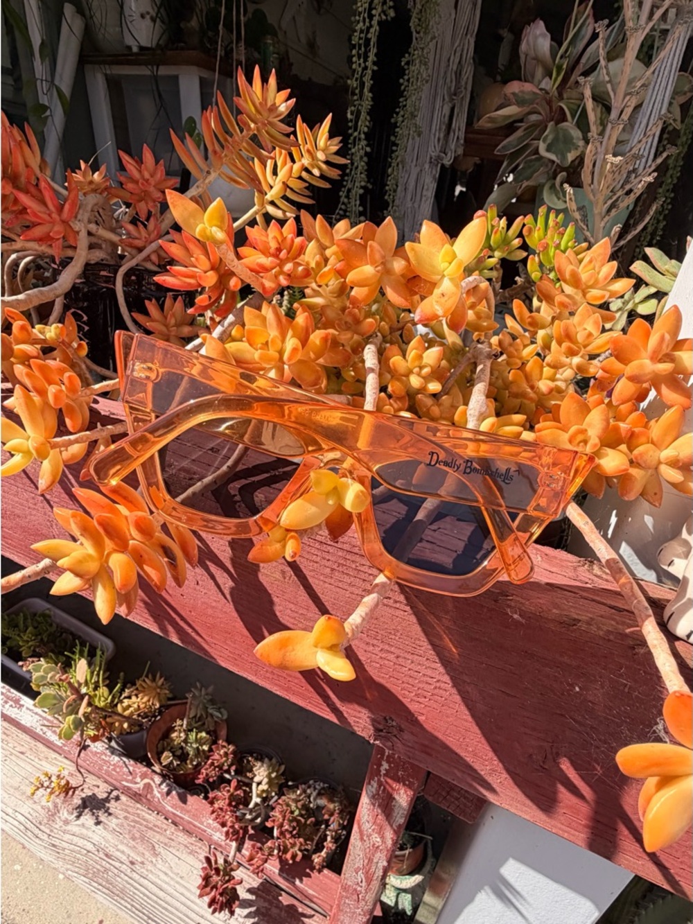 Amazon Orange Cat-Eye Sunglasses - Picture 7 of 8